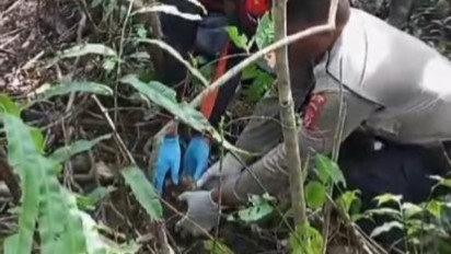 Tim SAR Meulaboh Temukan Kepala dan Kaki Warga Aceh Jaya yang Diterkam Buaya