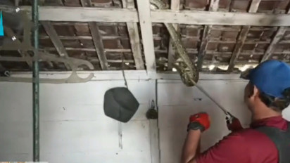 Pergantian Musim, Sehari Damkar Tuban Evakuasi 4 Ular Phyton Besar di Lokasi Berbeda