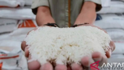 Impor Beras Tak Meredam Kenaikan Harga, Pengamat Sebut Ini Sebabnya