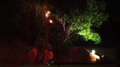 Resahkan Warga di Pecinan Bangkalan, Sarang Tawon Vespa Dibakar