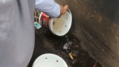 Penyebaran Nyamuk Wolbachia akan Dilakukan Bertahap di Semua Wilayah Jawa Barat