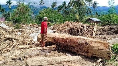 Bareskrim Polri Selidiki Asal Kayu Gelondongan Diduga Hasil Pembalakan Liar di Aceh Tamiang