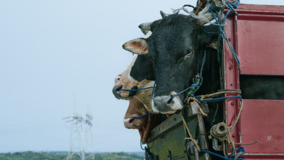 Strategi Kebijakan Ketahanan Pangan 2024, Pemerintah Fokus Pada Hal Ini…