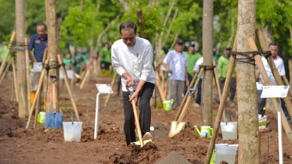 Mantan Menteri Jokowi Balas Anies Baswedan Soal IKN, Sebut Jadi Solusi Masalah Masa Depan