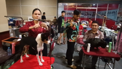 Kontes Anjing Peliharaan Internasional di Surabaya, Melahirkan Anjing Trah Indonesia yang Diakui Dunia