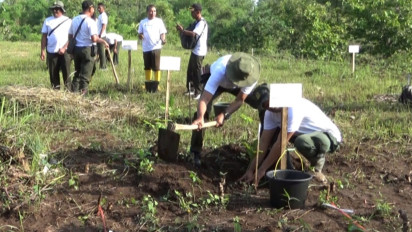 Perhutani Rehabilitasi Hutan Produksi, Hutan Gunung Lawu Jadi Prioritas Pasca Terbakar