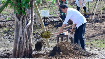 Presiden Jokowi Menanam Pohon di Embung Anak Munting NTT