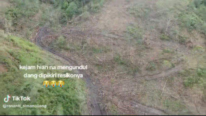 Pembalakan Liar Diduga Jadi Penyebab Bencana Humbahas, Kadis LHK Sumut: Dalam 3 Hari ini Pelaku akan Diungkap