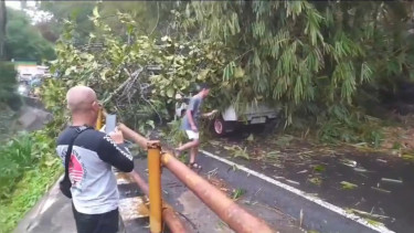 Pohon Besar di Kawasan Cadas Pangeran Tumbang dan Menimpa 3 Kendaraan