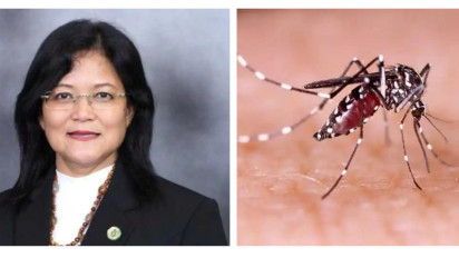 Nyamuk Wolbachia Jadi Polemik, Ini Pemaparan Tim Ahli Kajian Risiko Wolbachia Kementerian Kesehatan RI