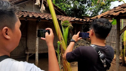 Unik! Pohon Pisang di Pati Berbuah di Tengah Batang Pohon