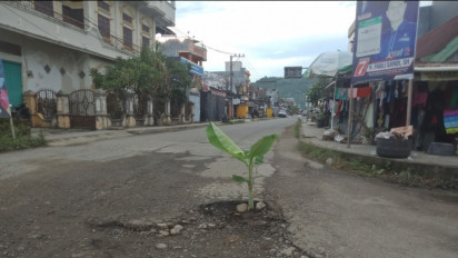 Protes Jalan Poros Rusak Parah, Warga Tanam Pohon Pisang di Tengah Jalan