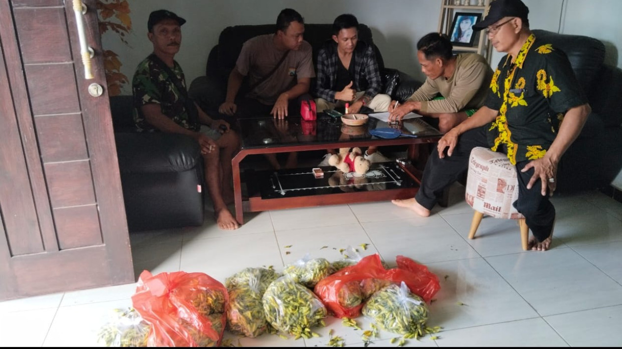 Harga Meroket, Pria di Banyuwangi Ditangkap Warga Gegara Curi Cabai
            - galeri foto