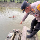 Heboh Potongan Payudara Wanita Mengapung di Wisata Adventure Land Surabaya