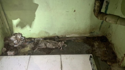 Geger Penemuan Kerangka Mirip Bayi Ditanam di Dalam Rumah