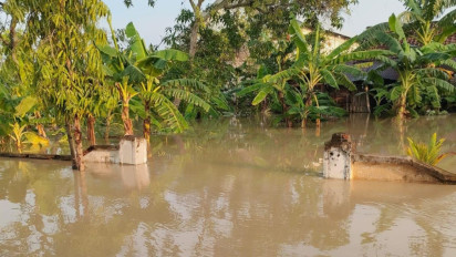 Kini Giliran Puluhan Rumah Warga di Desa Dapet Gresik Kebanjiran Luapan Kali Lamong