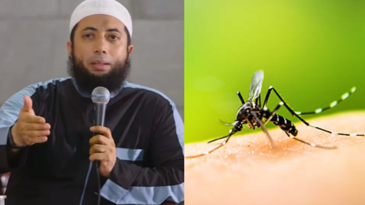Nyamuk Memang Bikin Jengkel, tapi Ustaz Khalid Basalamah Peringatkan Jangan Sampai Membunuhnya dengan Cara Begini, Justru Malah Dosa?
            - galeri foto