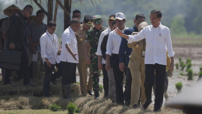 Tinjau Penanaman Padi di Pekalongan, Presiden Jokowi: Kita Kejar Tanam, Tanam, Tanam
