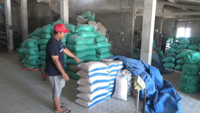 Viral, Aksi Seorang Emak Curi Beras di Penggilingan Padi, Terekam CCTV