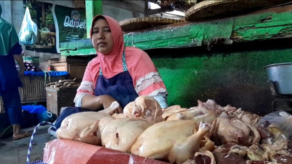 Momen Nataru Tiba, Harga Daging Ayam di Probolinggo Melonjak Naik