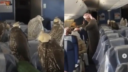 Buat Warganet Tercengang, Sultan Arab Saudi Borong Kursi Pesawat Hanya untuk 80 Ekor Burung Elang