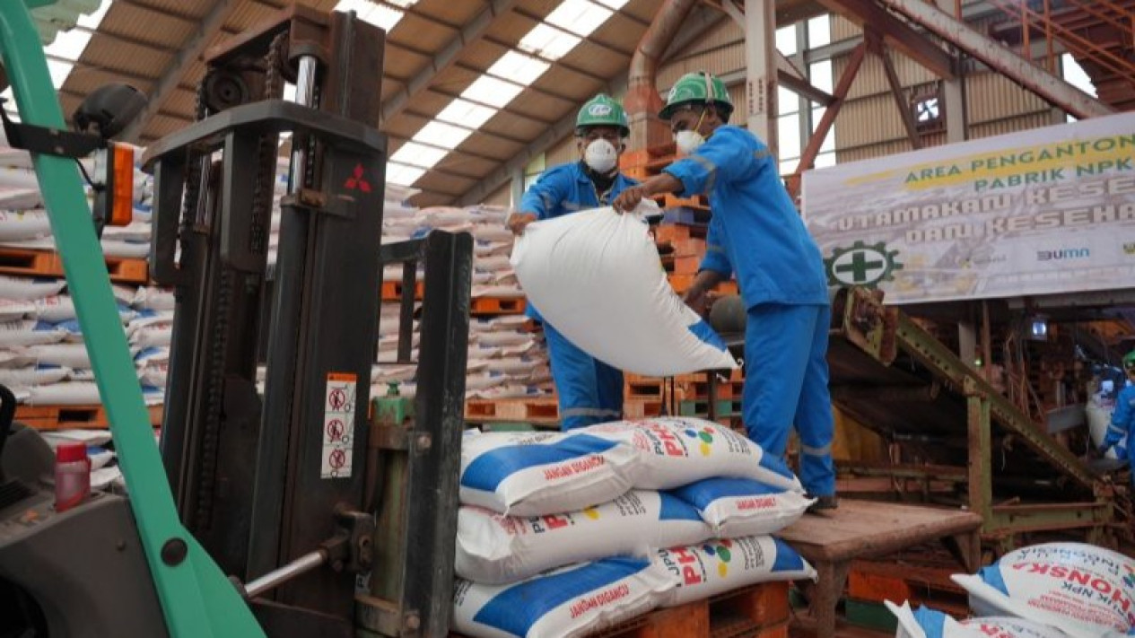 Pusri: Stok Pupuk Urea Subsidi Capai 200.682 Ton
            - galeri foto