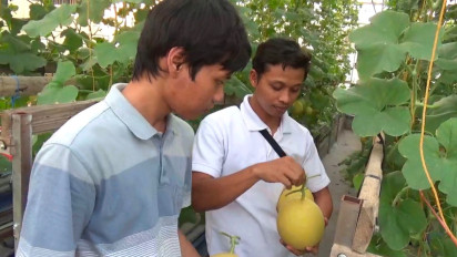 Momen Libur Akhir Tahun, Agrowisata Petik Melon di Klaten Diserbu Wisatawan