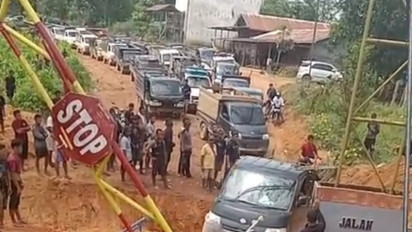 Fenomena Panen Massal Buah Sawit Menghantui PBS di Kotim