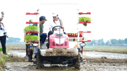 Mentan Amran Terjun Langsung pada Gerakan Percepatan Tanam di Lampung