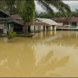 Diguyur Hujan Deras, Banjir Kembali Merendam Aceh Singkil