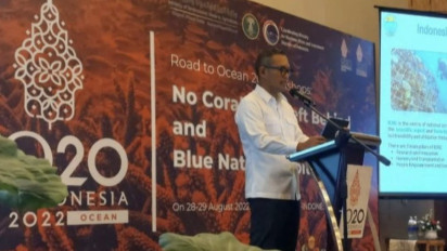 CCS Sebagai Pendorong Perekonomian Indonesia: Memanfaatkan Potensi untuk Masa Depan Hijau