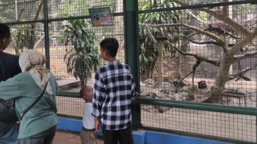 Potret Ragunan Dipadati Ribuan Pengunjung saat Libur Natal