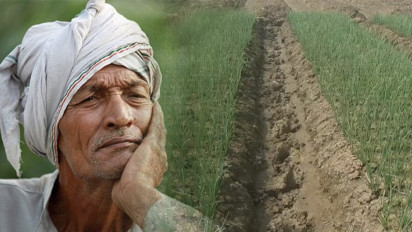 Gagal Panen Bawang Merah hingga Merugi Rp27 Miliar, Petani Brebes Curhat Sumber Permasalahannya