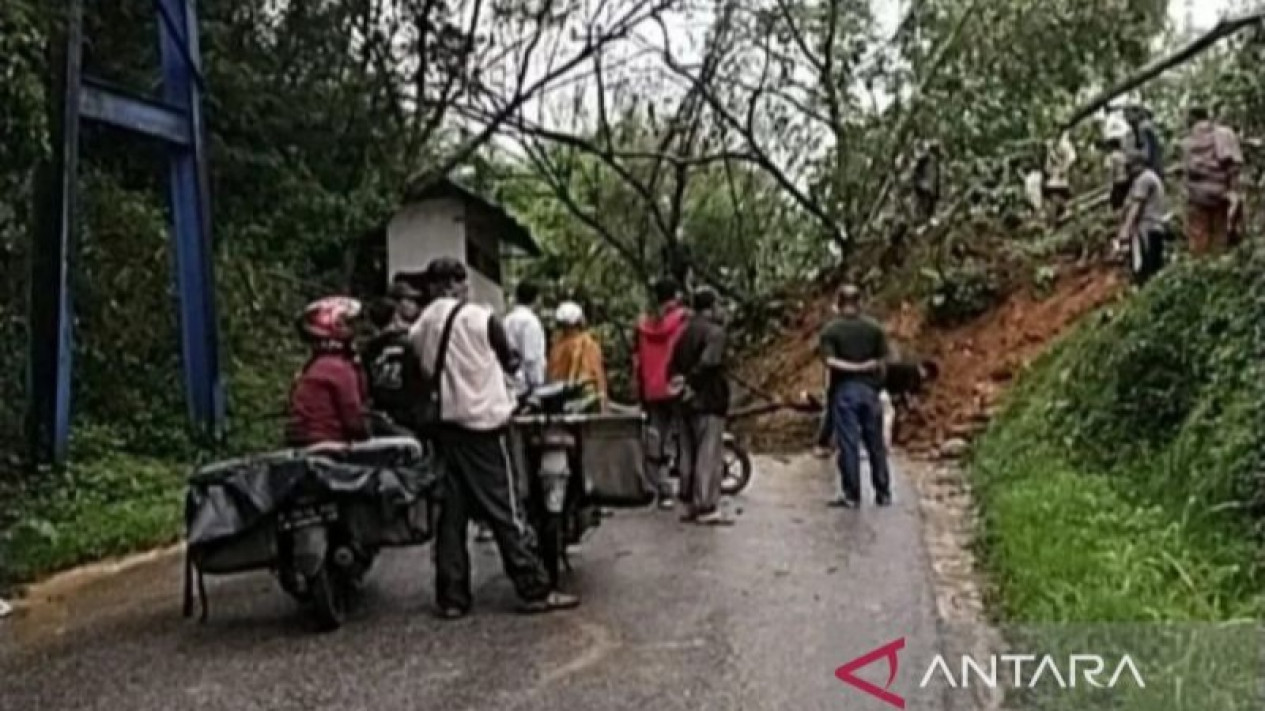 Jalan Nasional Padang-Kerinci Tertimbun Longsor
            - galeri foto