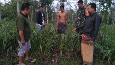 Baru Lahir, Bayi Perempuan di Blitar Dibuang Orang Tuanya di Area Perkebunan