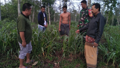 Baru Lahir, Bayi Perempuan di Blitar Dibuang Orang Tuanya di Area Perkebunan