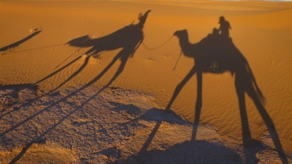 Kisah Nabi Zakaria, Salah Satu yang Diutus oleh Allah ke Palestina dan Terpilih jadi Ayah Asuh Maryam, Ibu dari Nabi Isa