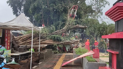 Pohon Beringin Tumbang Timpa Lapak Pedagang di Alun-alun Kota Blitar, 10 Orang Alami Luka
