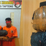 Polisi Gagalkan Transaksi 1 Bal Ganja di Jembatan Kembar Pinangsori Tapteng