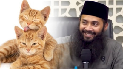 Memangnya Benar Kalau Kucing Setelah Meninggal Tidak akan Masuk Surga? Kata Ustaz Syafiq Riza Hewan Menggemaskan ini…