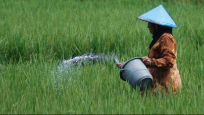 Berpotensi Langka, Alokasi Pupuk di Pacitan Tahun 2024 Turun Hampir 30 Persen