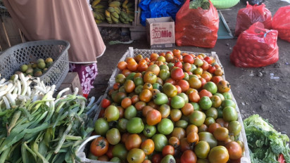 Pekan Kedua Tahun Baru Harga Tomat Melejit Tembus Rp35 Ribu Perkilogram