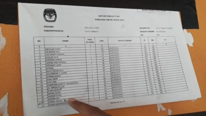 Seorang WNA Asal Rumania di Ternate Tercatat dalam DPT Pemilu 2024, Kok Bisa?