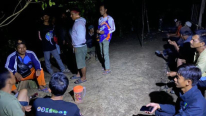 DLH: Kawanan Gajah Liar Rusak Perkebunan Warga di Lampung Barat