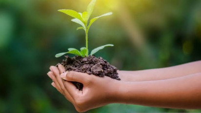 Jelang Debat Pilpres 2024, Walhi Ingatkan Capres-Cawapres Utamakan Keselamatan Lingkungan dalam Program Pembangunan