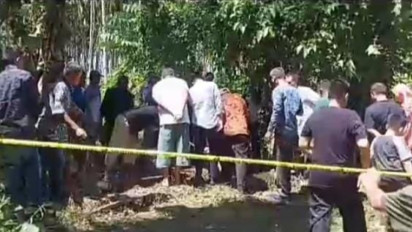 Bocah Perempuan Ditemukan Tewas di Kebun, Pelakunya Kerabat Dekat, Kenapa?