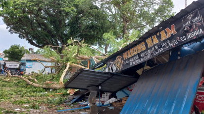 Angin Puting Beliung Robohkan Pohon Sono dan Menimpa Warung Pujasera di Terminal Lawang Malang
