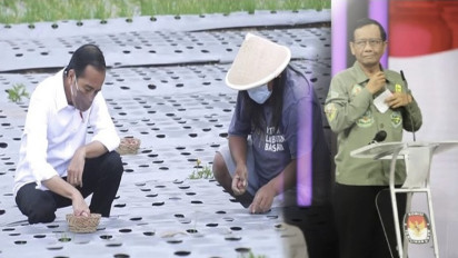 CEK FAKTA: Mahfud Bilang Food Estate Proyek Gagal, Guru Besar Univ Airlanga Bocorkan Analisanya