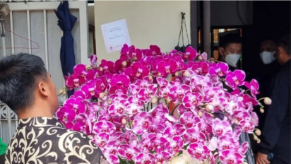 Anggrek Ungu Jokowi Untuk Megawati, Tegas Simbolkan Sikap Sang Presiden Sedang...