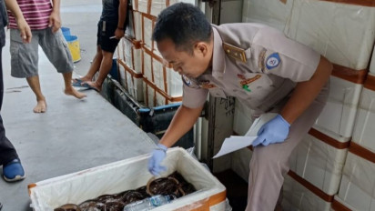 BKHIT Jawa Timur Permudah Ekspor 90.000 Belut Hidup ke China